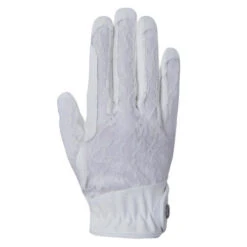 B Vertigo Lace Riding Gloves 15 B Vertigo Lace Riding Gloves -Cavalleria Toscana Store b vertigo lace gloves white back 31739 WH horze 52404.1652645700