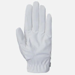 B Vertigo Lace Riding Gloves 14 B Vertigo Lace Riding Gloves -Cavalleria Toscana Store b vertigo lace gloves white palm 31739 WH horze 47726.1652645672