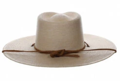 Biltmore Canyon Moon Rancher Hat