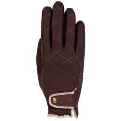 Roeckl Sports Roeckl Julia Winter Gloves -Cavalleria Toscana Store julia glove mocha brown roeckl 31690.1638394061