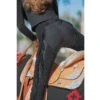 Hobby Horse Split Leather Classic Show Chaps -Cavalleria Toscana Store split leather show chaps black hobby horse 44803.1594234416